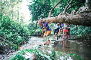 BIB: 
                            <button type="button" onclick="openModal(25444554)" class="btn btn-primary btn-sm float-right btn-popup" data-toggle="modal" data-target=".modal-high-quality">
                        <i class="fas fa-shopping-cart"></i> Add to Cart
                    </button>
                                            <button type="button" onclick="isThisMe(25444554, true)" class="btn btn-success btn-sm float-right btn-popup btn-isme hidden" data-toggle="tooltip" data-placement="bottom" title="นี่คือรูปของคุณใช่ไหม คลิกที่นี่เพื่อเอาเข้าอัลบั้ม">
                        <i class="fas fa-plus"></i> Add to album
                    </button>
                    <button type="button" onclick="isThisMe(25444554, false)" class="btn btn-warning btn-sm float-right btn-popup btn-isnotme hidden">
                        <i class="fas fa-ban"></i> Remove from album
                    </button>